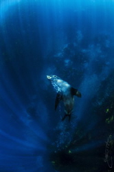 ~ Come with Me ~ by Geo Cloete 